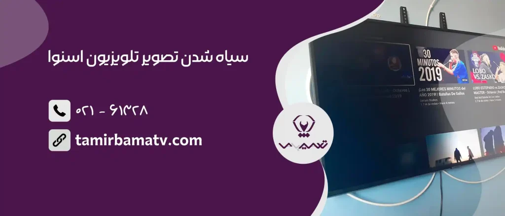 علت سیاه شدن تصویر تلویزیون اسنوا