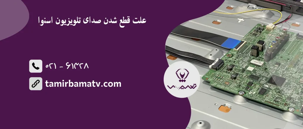 علت قطع شدن صدای تلویزیون اسنوا