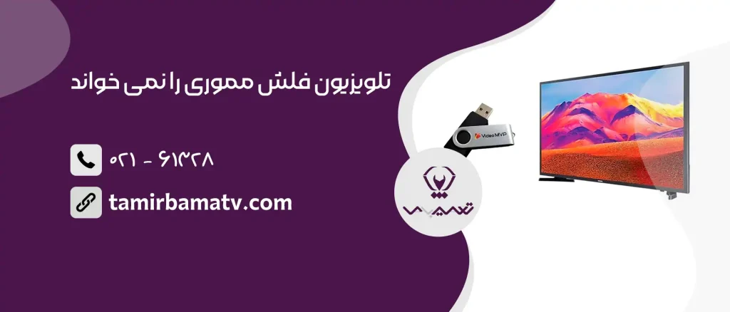 تلویزیون فلش مموری را نمی خواند